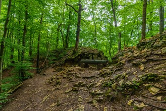 Bench at the premium hiking trail Urach Waterfall