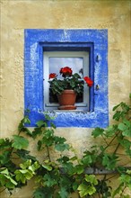 Small window with geraniums and blue border