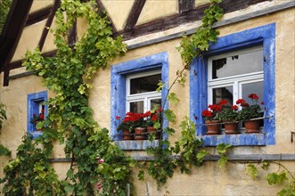 Window with geraniums on the Haeckerhaus built in 1717