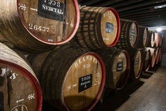 Blandy's barrels of Madeira Wine