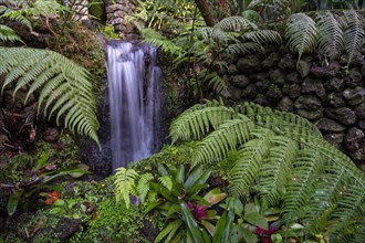 Monte Palace Tropical Garden