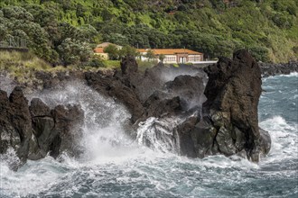 Sea House Lava Cliffs Faial Island Azores Portugal