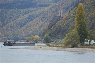 Rhine valley with cargo ship and Rheinstein Castle