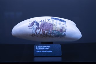 Historical drawings on a tooth of a sperm whale