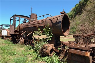 Rusty steam locomotive for operation with coal stands on siding is overgrown by plants nature