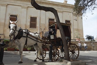 Horse-drawn carriage at the Upper Barrakka Gardens
