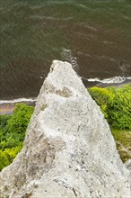 Chalk cliffs at the Viktoria Aussicht