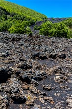Cooled lava flow from 199192 at Piano dell Acqua