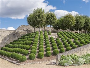 Gardens of the Renaissance Castle of Amboise
