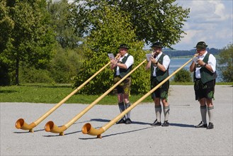 Alphorn blowers at the Forggensee
