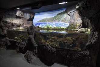 Exhibitions and aquariums at the Aquarium