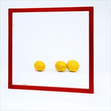 Square red frame set against a white background. Three lemons lie in the frame
