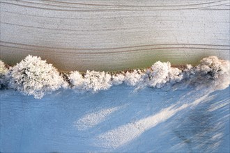 Drone image of ecologically valuable woody strips at the edge of a field in winter