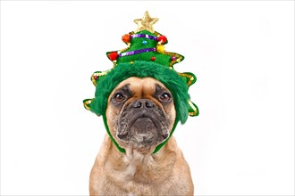 French Bulldog dog wearing funny Christmas tree headband on white background