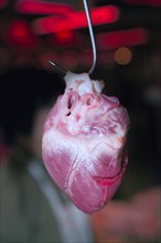A pig's heart hangs on a hook at a meat counter