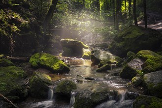 A stream with rocks and moss in diffuse sunlight