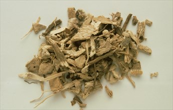 Medicinal herbs: Kawa kawa root