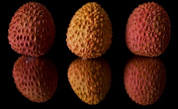 Close-up of three fresh lychees reflected in a mirror on a black background