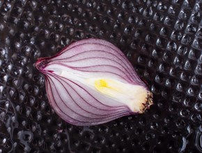 Red onion bulb cut in half on a certain background