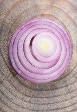 Sliced onion rings and onion slices on the background