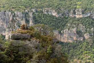 Gorges du Tarn in Cevennes National Park. Le Rozier