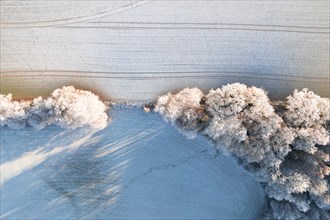 Drone image transition forest to field in winter