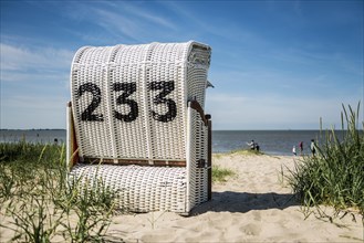 Beach chair on the sandy beach