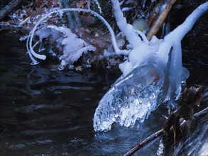 Moose-head-like ice formation on a stream