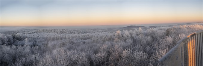 Beech forests with hoarfrost