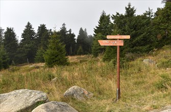 Signpost in the Harz Mountains at the Brocken