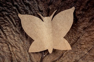 Butterfly cut of paper on brown paper in view