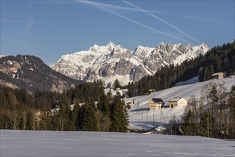 View of the Alpstein and the peak of the Saentis