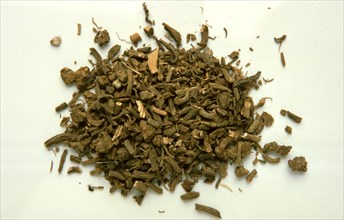 Medicinal herbs: valerian