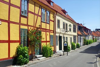Narrow residential street with cosy houses