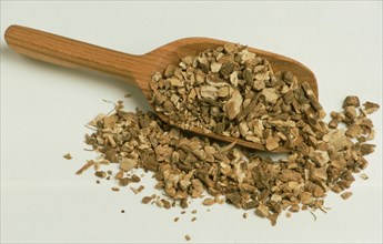 Medicinal herbs: elecampane