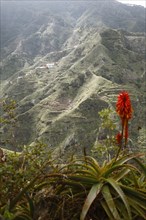 Anaga Mountains