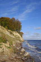 Brodtener Steilufer on the Baltic Sea