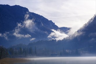 Morning mist at Lake Lunz