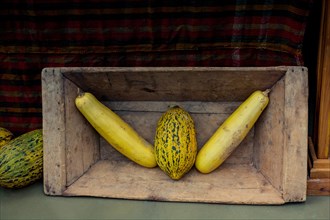 Two long pumpkins and a melon in a wooden box in the view