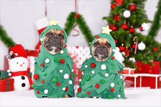 Pair of French Bulldog dogs wearing Christmas tree costumes between Christmas trees and gift boxes