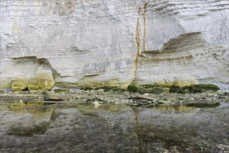 Reflection of chalk cliffs at low tide on the beach
