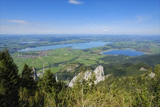 View from Tegelberg to Bannwaldsee and Forggensee