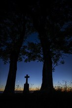 Field cross with trees at blue hour