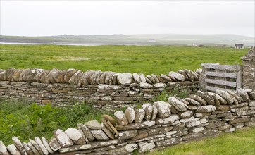 Typical dry stone wall on Mainland