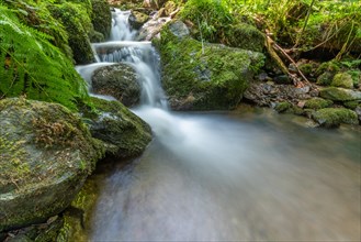 Fresh water waterfall on rocks moss cover in mountain. Fresh water waterfall on rocks moss cover in mountain.osges Alsace