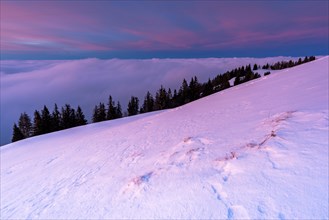 Winter landscape on the Gnipen above the sea of fog in Canton Schwyz
