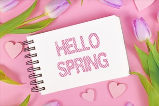 Violet tulip flowers and heart ornaments surrounding text 'Hello Spring'