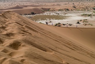 Tourists climb the Sossusvlei dunes