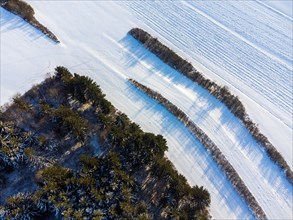 Small piece of snow-covered field with shrubbery strip and adjacent forest in winter from a birds eye view