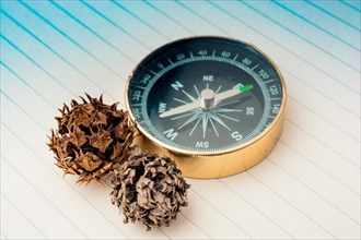 Black compass as instrument beside a dry pod
